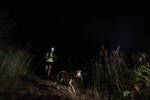 BIB: 6114
                            <button type="button" onclick="openModal(16050356)" class="btn btn-primary btn-sm float-right btn-popup" data-toggle="modal" data-target=".modal-high-quality">
                        <i class="fas fa-shopping-cart"></i> Add to Cart
                    </button>
                                            <button type="button" onclick="isThisMe(16050356, true)" class="btn btn-success btn-sm float-right btn-popup btn-isme hidden" data-toggle="tooltip" data-placement="bottom" title="นี่คือรูปของคุณใช่ไหม คลิกที่นี่เพื่อเอาเข้าอัลบั้ม">
                        <i class="fas fa-plus"></i> Add to album
                    </button>
                    <button type="button" onclick="isThisMe(16050356, false)" class="btn btn-warning btn-sm float-right btn-popup btn-isnotme hidden">
                        <i class="fas fa-ban"></i> Remove from album
                    </button>